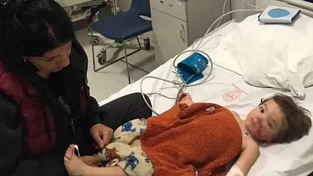 Pitbull dehşeti! 'Ceza almalarını istiyorum, yoksa çocuğumun yüzüne bakamam'