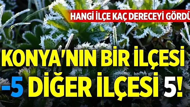Konya'nın bir ilçesi -5 diğer ilçesi 5! Hangi ilçe kaç dereceyi gördü?
