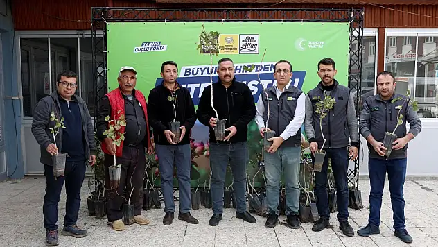 Konya'da Antep Fıstığı yaygınlaşıyor