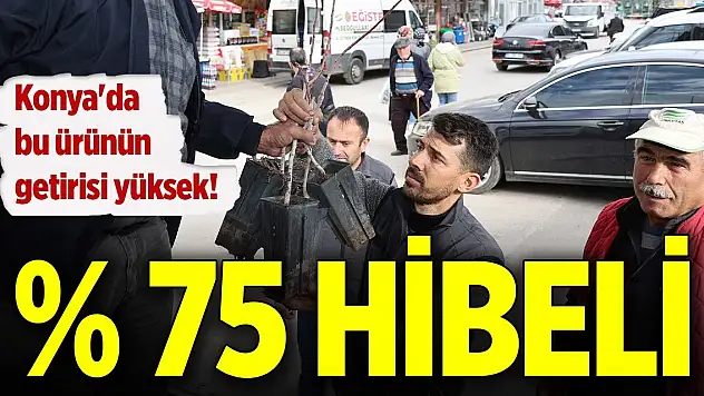 Konya'da bu ürünün getirisi yüksek! Yüzde 75 hibe desteği var