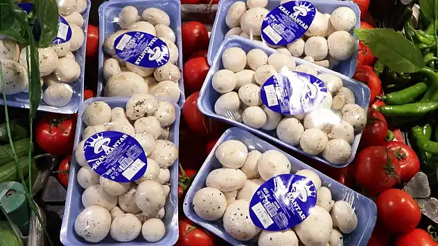 Bir ayda 60 kişi bu üründen zehirlendi!