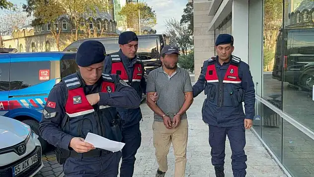 Ağaç kesimi sırasında komşusunun ölümüne sebep olan şahıs tutuklandı