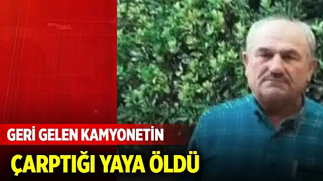 Geri gelen kamyonetin çarptığı yaya öldü