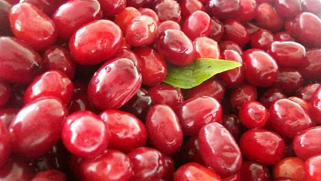 Soğuk algınlığına doğal çözüm