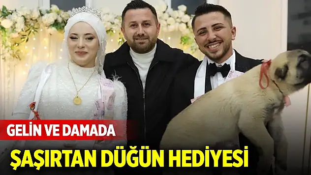 Gelin ve damada şaşırtan düğün hediyesi!
