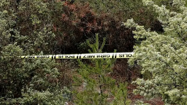 Kayıp kişi ormanlık alanda ölü bulundu