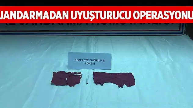 Konya'da jandarmadan uyuşturucu operasyonu