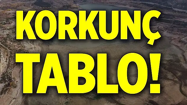 Korkunç tablo! 'Çölleşmeye doğru gidiyor'