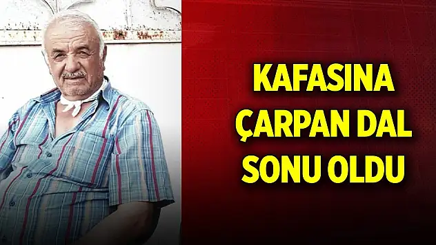 Kafasına çarpan ağacın dalı sonu oldu