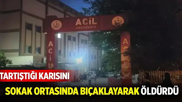 Tartıştığı karısını sokak ortasında bıçaklayarak öldürdü