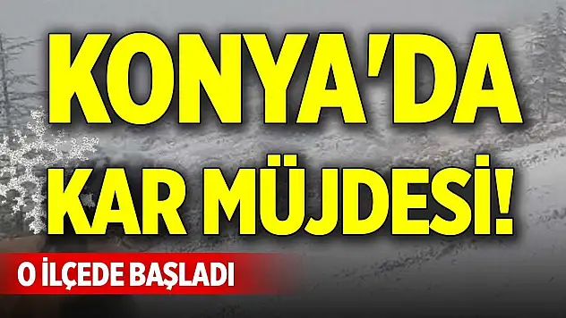 Konya'da kar müjdesi! O ilçede başladı
