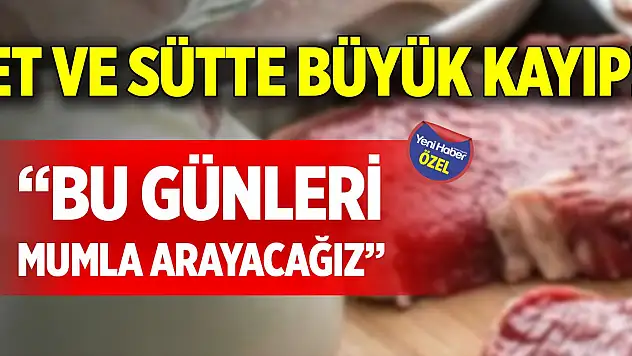 Et ve sütte büyük kayıp! 'Bu günleri mumla arayacağız'