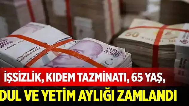 İşsizlik, kıdem tazminatı, 65 yaş, dul ve yetim aylığı zamlandı