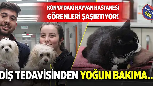 Konya'daki Hayvan Hastanesi görenleri şaşırtıyor! Diş tedavisinden yoğun bakıma…