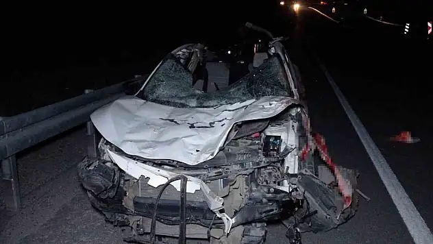 Feci olay... Milyonluk taylar karayolunda telef oldu