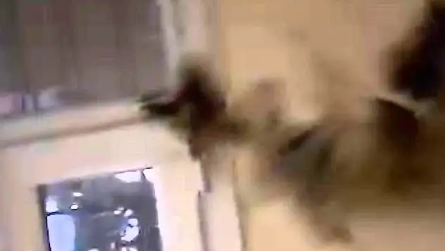 Kar yağışı sırasında apartmana yıldırım düştü