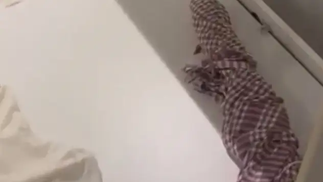 Otel odasına baskın yatağın altından kalaşnikof çıktı