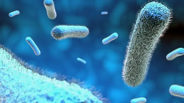 Kış geldi: Grip mi, soğuk algınlığı mı?