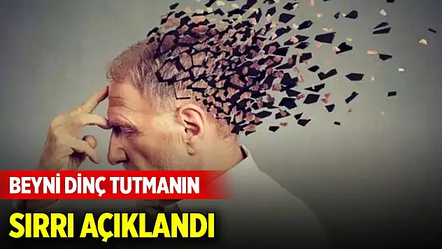 Beyni dinç tutmanın sırrı açıklandı