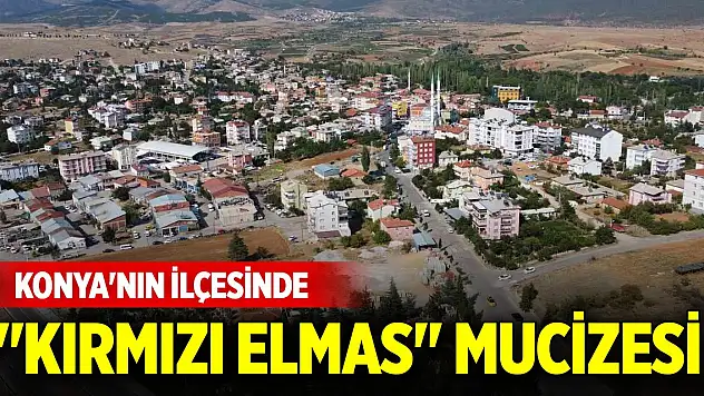 Konya'nın ilçesinde 'kırmızı elmas' mucizesi