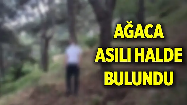 Muğla Datça'da bir kişi ağaca asılı halde ölü bulundu