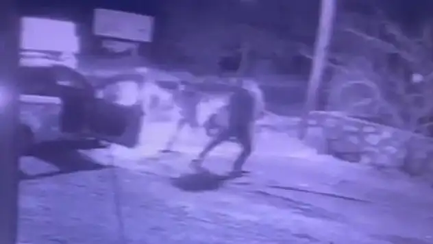 Akrabalar birbirine girdi!