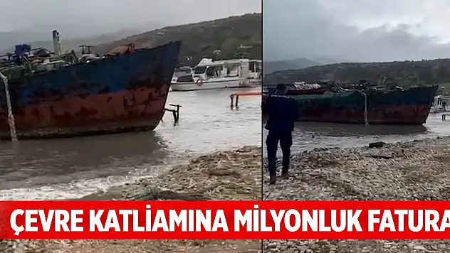 Çevre katliamına milyonluk fatura