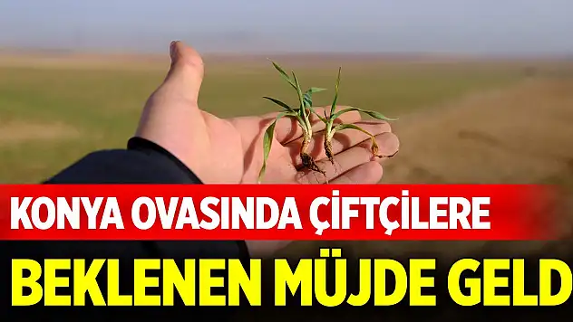 Konya Ovasında çiftçilere beklenen müjde geldi