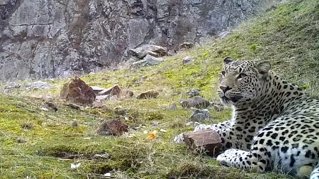 Bunu yapmanın cezası 45 milyon!