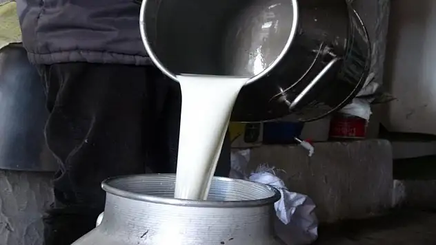 Çiğ süt fiyatları belli
