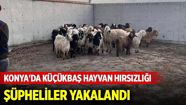 Konya'da küçükbaş hayvan hırsızlığı şüphelisi 7 kişiden üçü tutuklandı