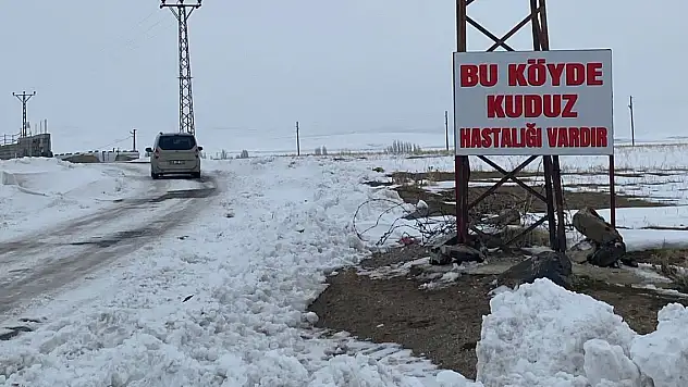 Kuduz vakası tespit edilen köy, karantinada!