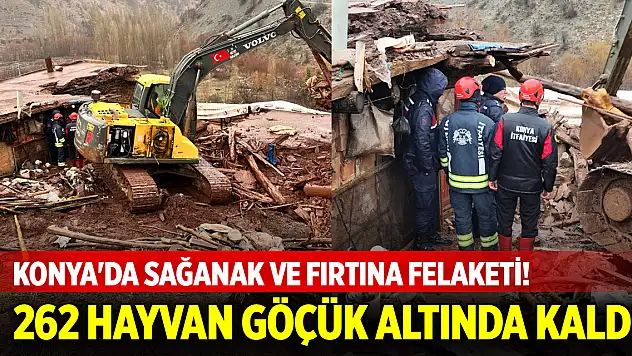 Konya'da sağanak felaketi! 262 hayvan göçük altında kaldı