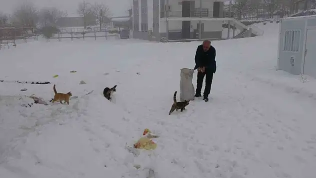 Yazın binlerce kişi, kışın sadece dört nüfus