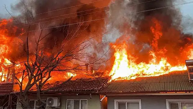 Kediler üşümesin diye yakılan soba faciaya dönüştü