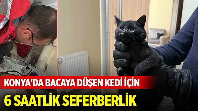Konya'da bacaya düşen kedi için 6 saatlik seferberlik
