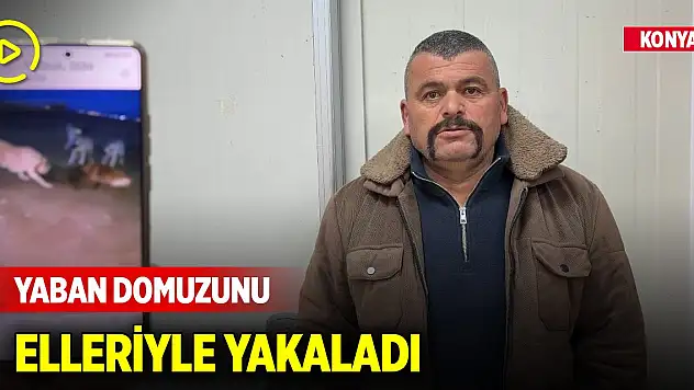 Konya'da bir vatandaş, 80 kiloluk yaban domuzunu elleriyle yakaladı