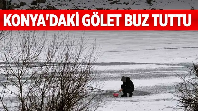 Konya'daki gölet buz tuttu