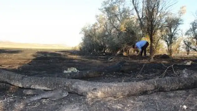 Çölleşme ve Erozyon Araştırma Merkezi sahasında yangın