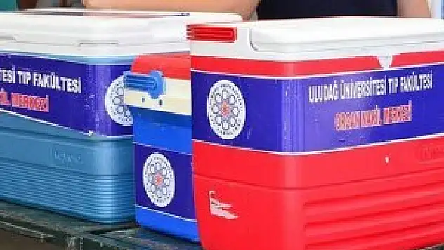 Türkiye'de 28 bin hasta organ nakli bekliyor