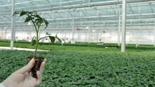 Bitkisel üretimde biyolojik mücadeleye destek