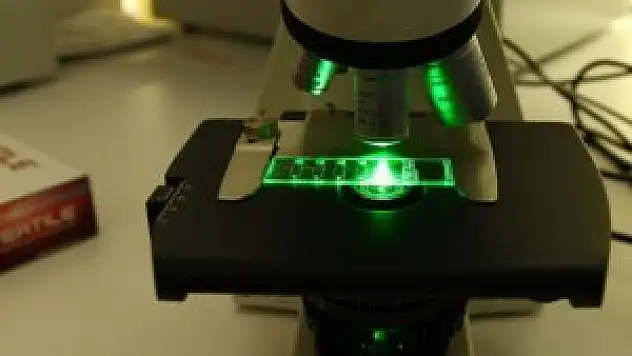 Bu çipler, sağlıklı spermi 12'den vuruyor