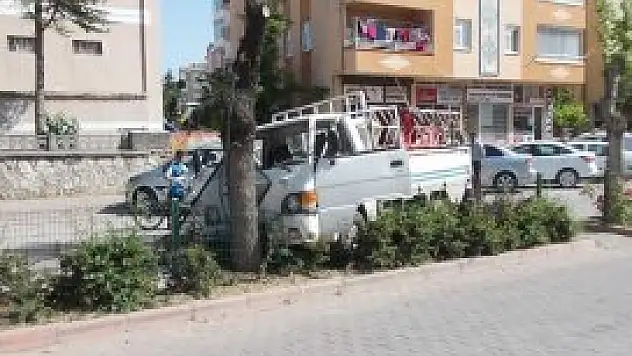 Beyşehir'de  kamyonet ağaca çarptı:2 yaralı