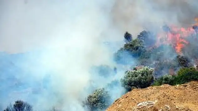 Bodrum'daki yangınlar kontrol altında