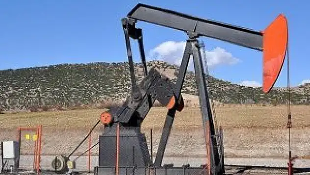 'Rusya'nın müdahalesi petrol fiyatlarını artırabilir'