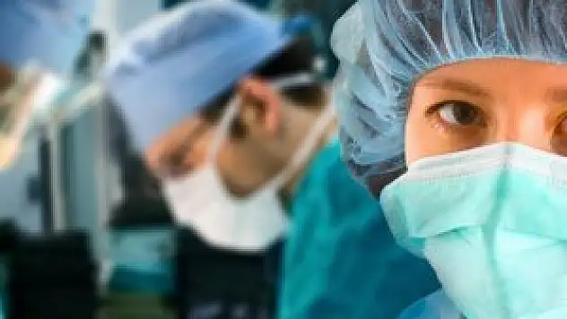 Harvard Türkiye'yi model aldı