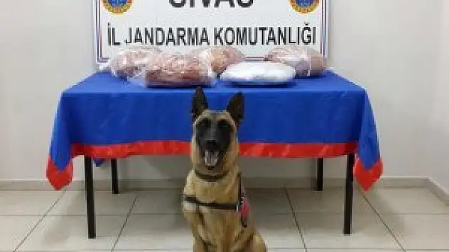 Gürün'de uyuşturucu operasyonu