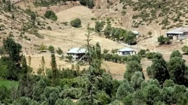 Adana'da başsız ceset bulundu