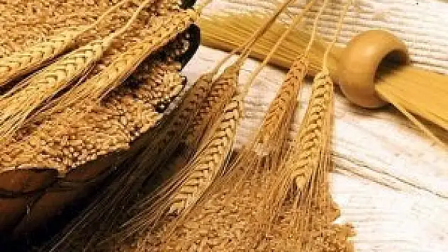 Konya Ticaret Borsası