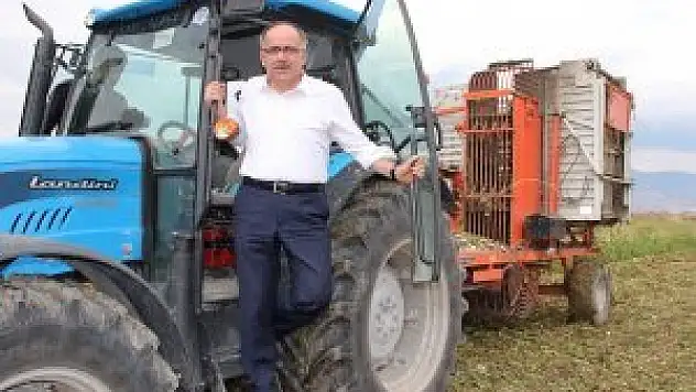 Milletvekili traktör sürdü, pancar hasadı yaptı